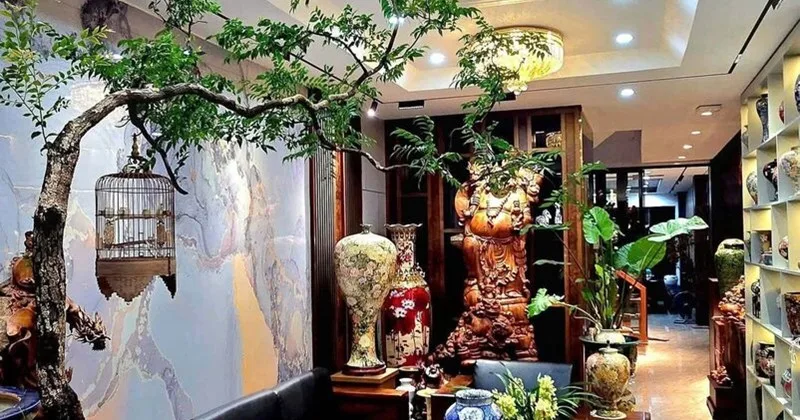 Giá cây muội hồng được nhiều người quan tâm vì loài cây này có vẻ ngoài lạ mắt, dễ trưng bày và phù hợp xu hướng cây cảnh mini.