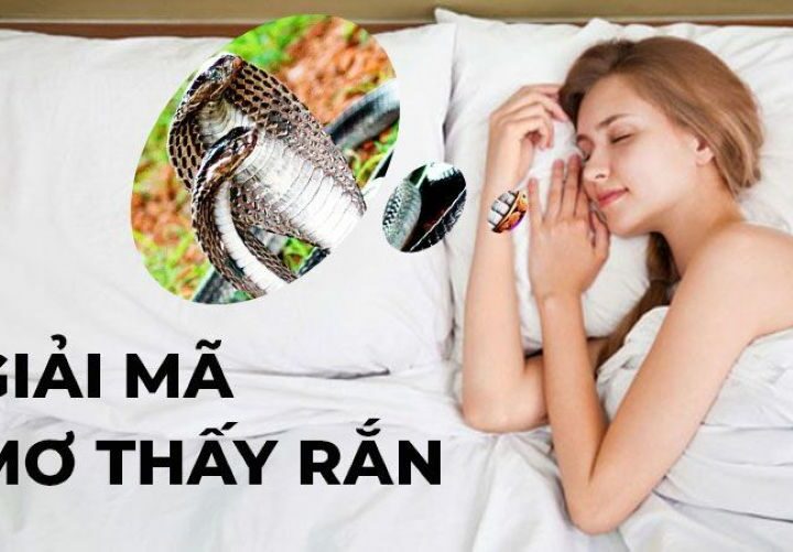 Nằm mơ thấy rắn đánh số gì – dấu hiệu và những con số may mắn