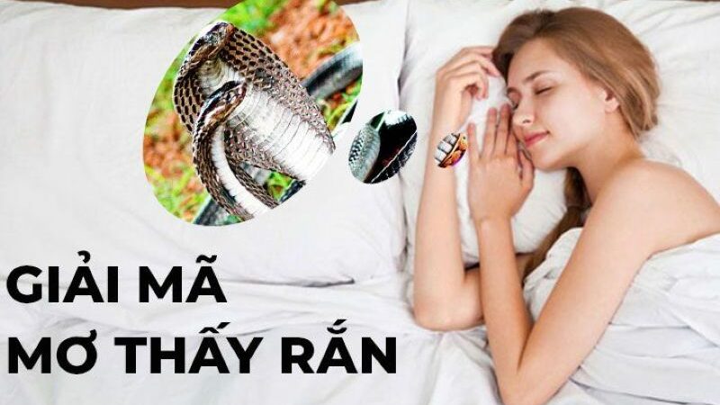 Nằm mơ thấy rắn đánh số gì – dấu hiệu và những con số may mắn
